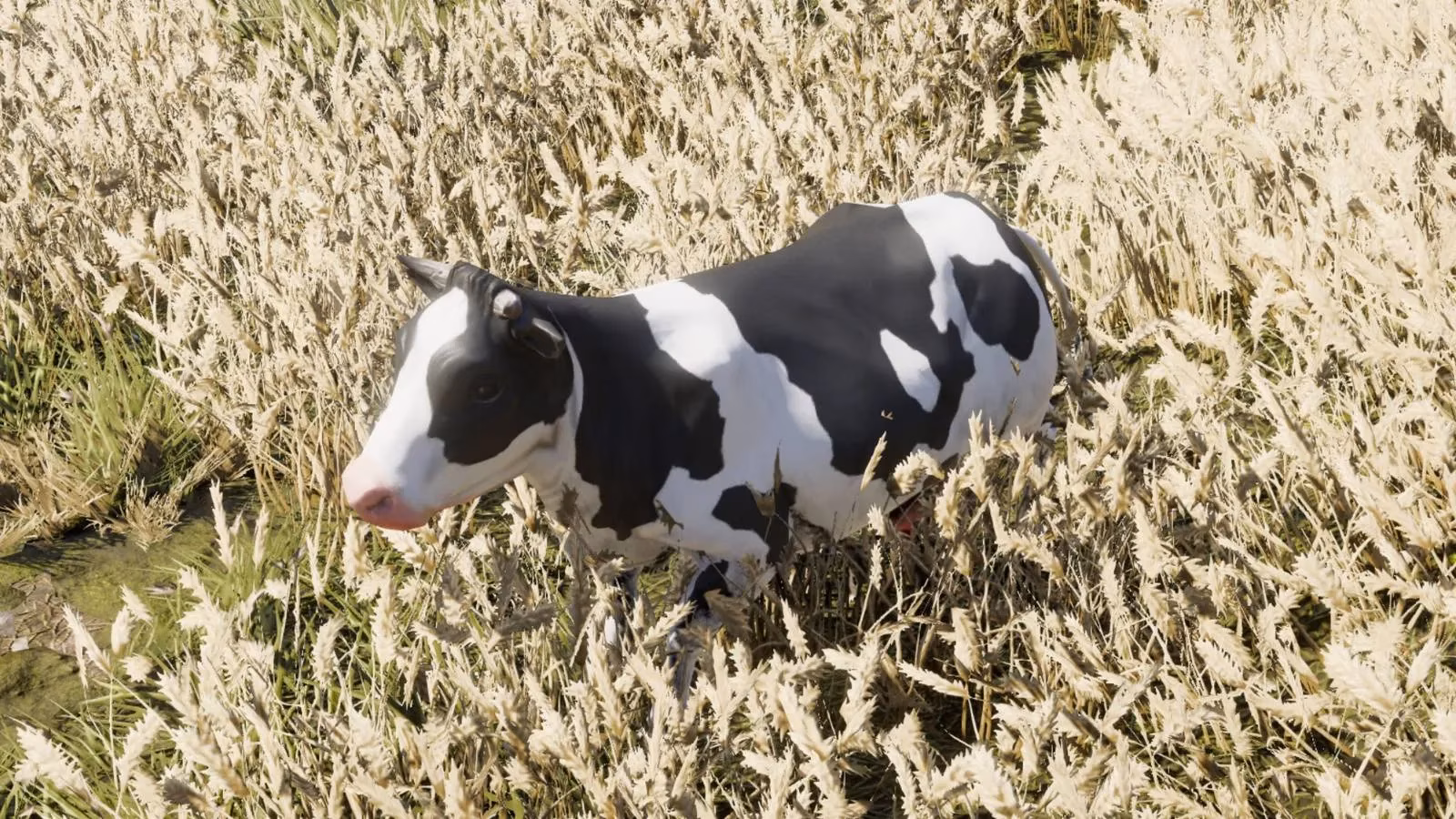 divinity-original-sin-2-treated-like-cattle-quest-guide-how-to-cure-both-cows-and-get-max-xp-image-0